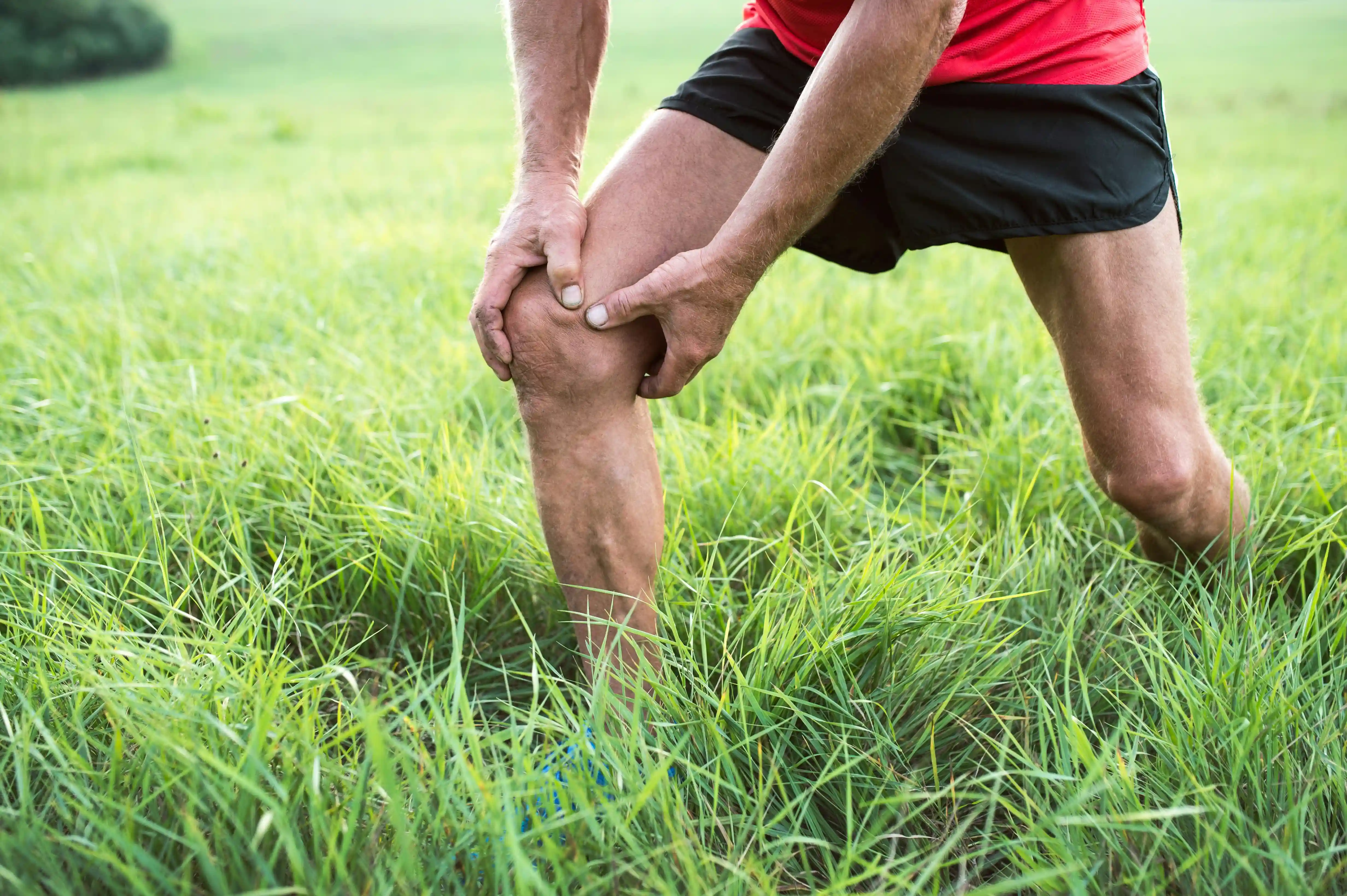 Knee injury rehabilitation